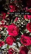 agam._.harel Altpins Profile Picture