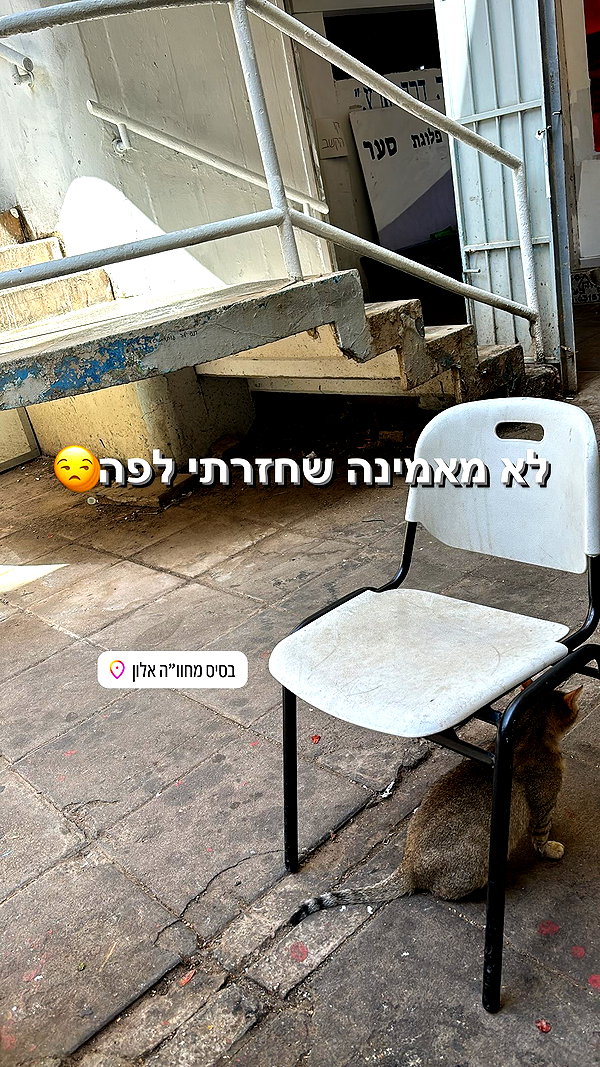 agam._.harel instagram image archive image