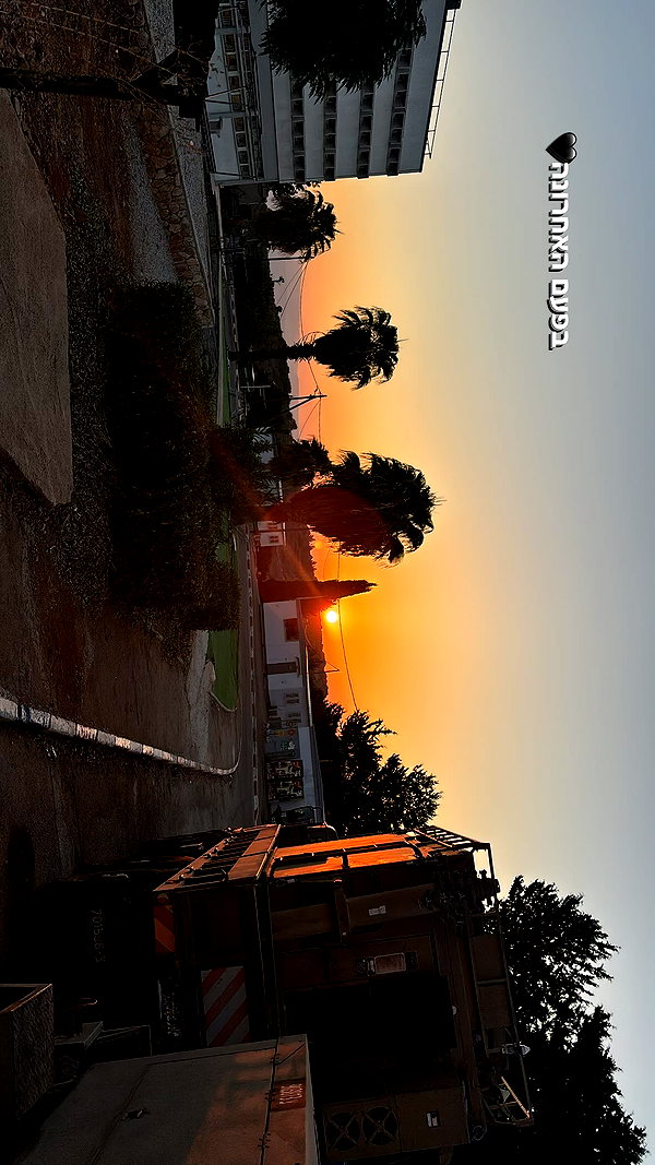 agam._.harel instagram image archive image