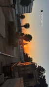 agam._.harel Altpins Profile Picture