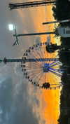 agam._.harel Altpins Profile Picture