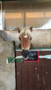 alex.banin Altpins Profile Picture