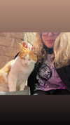 alex.banin Altpins Profile Picture