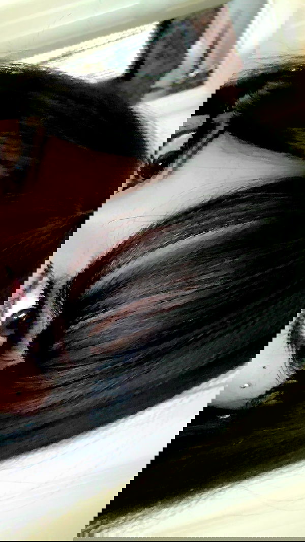 alexalizzz alexalizzz archive image