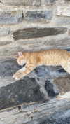 alexandra_stmtk Altpins Profile Picture