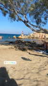 alexandra_stmtk Altpins Profile Picture