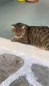 alexandra_stmtk Altpins Profile Picture