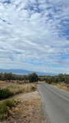 alexandra_stmtk Altpins Profile Picture