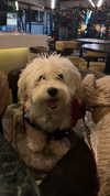 alexandra_stmtk Altpins Profile Picture