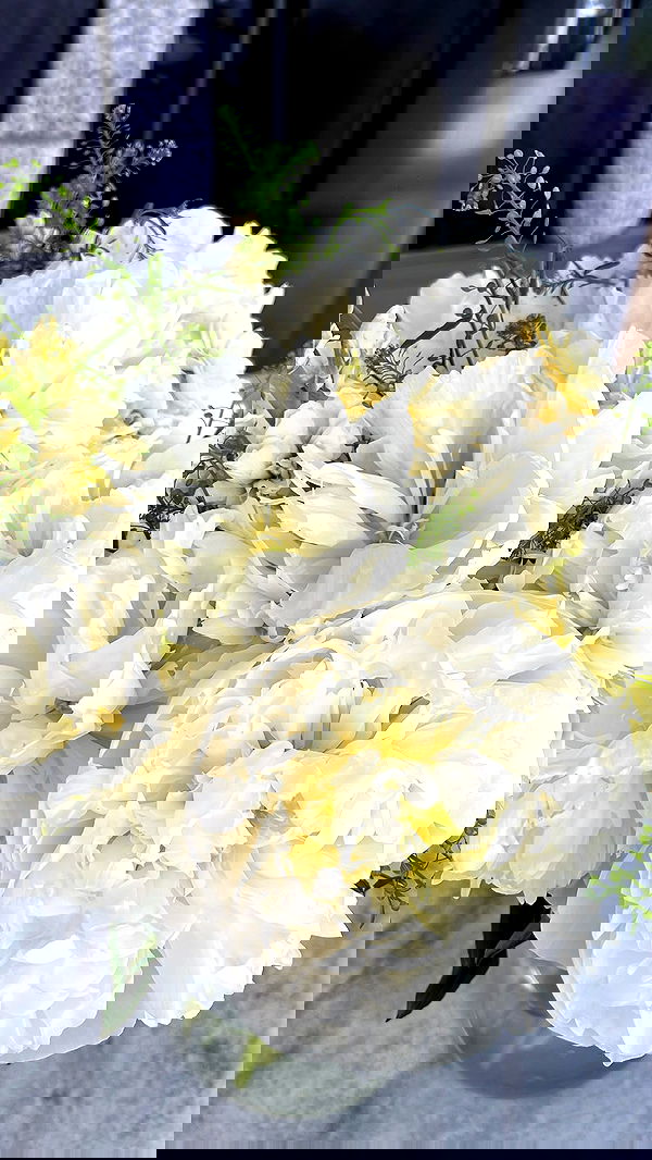 alexandramarianna alexandramarianna archive image