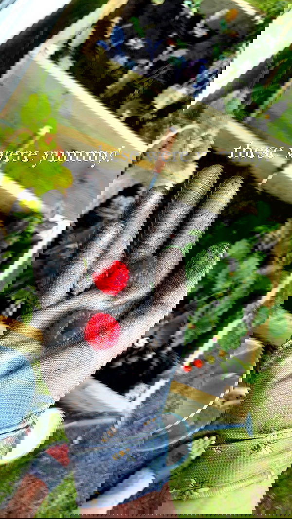 alexandramarianna alexandramarianna archive image