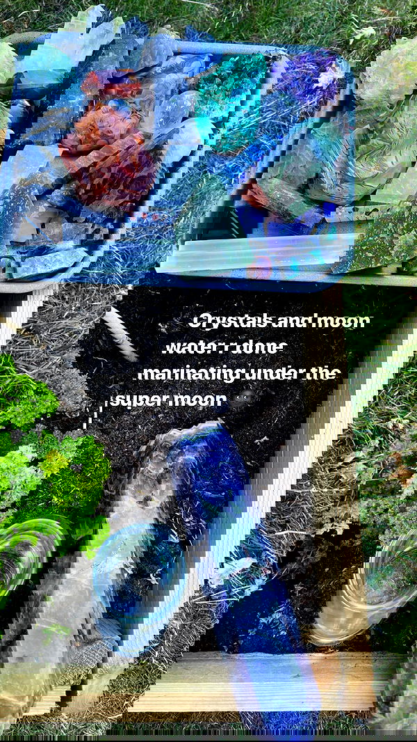 alexandramarianna alexandramarianna archive image