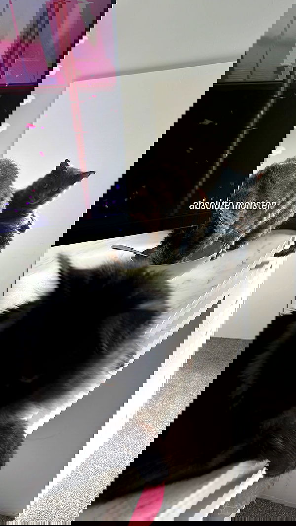 alexandramarianna alexandramarianna archive image