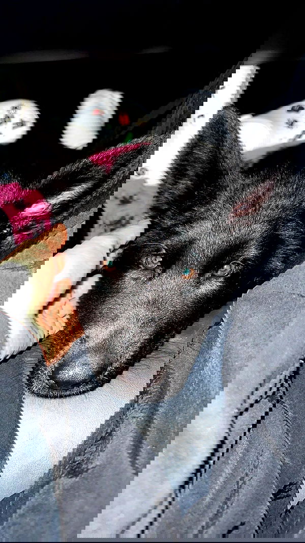 alexandramarianna alexandramarianna archive image