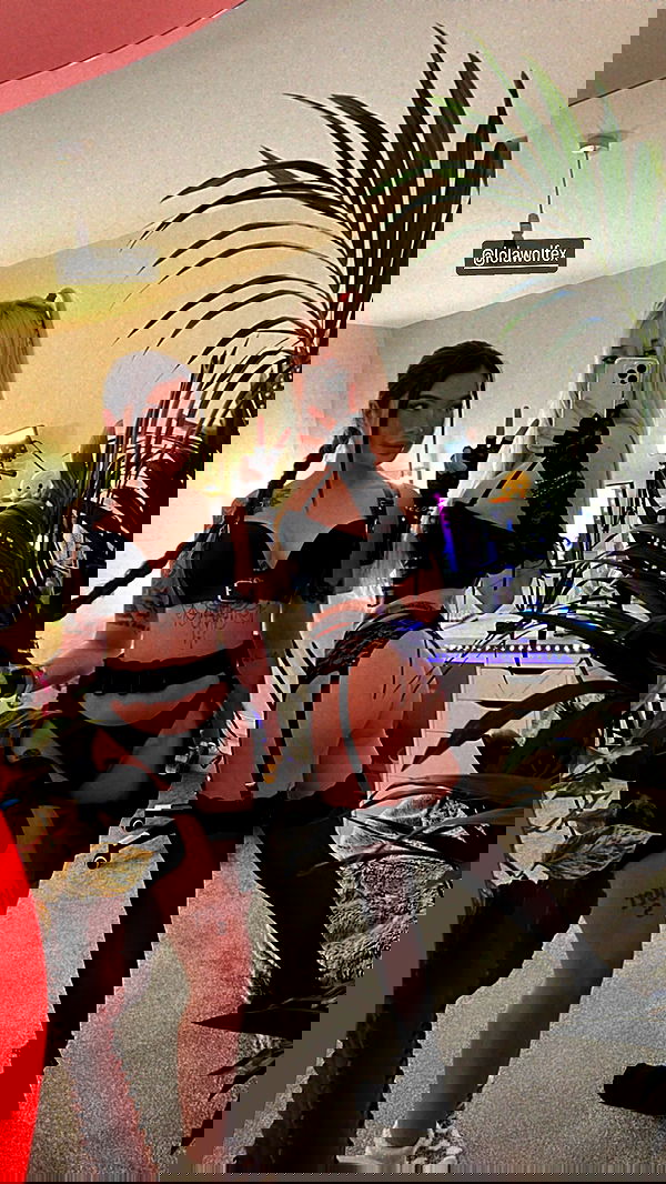 alexandramarianna alexandramarianna archive image