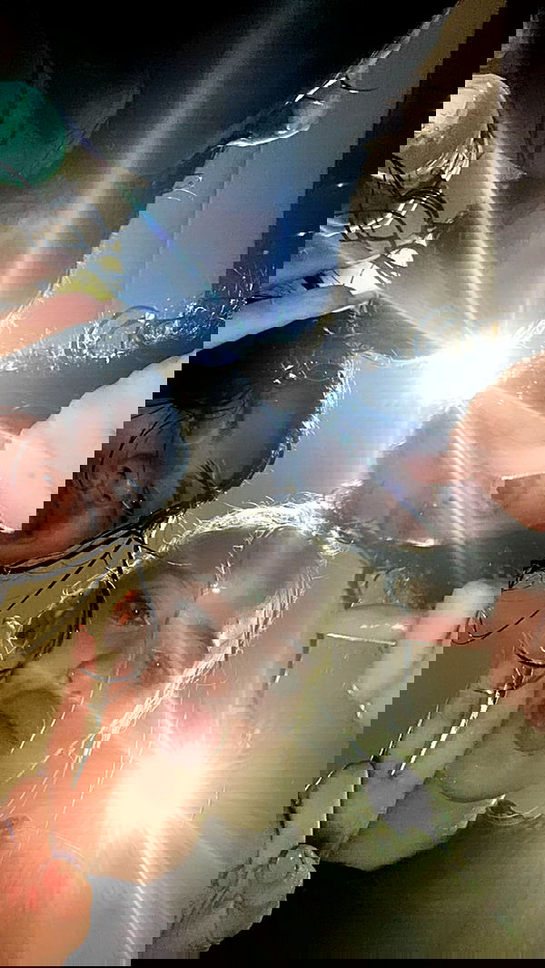 alexandramarianna alexandramarianna archive image