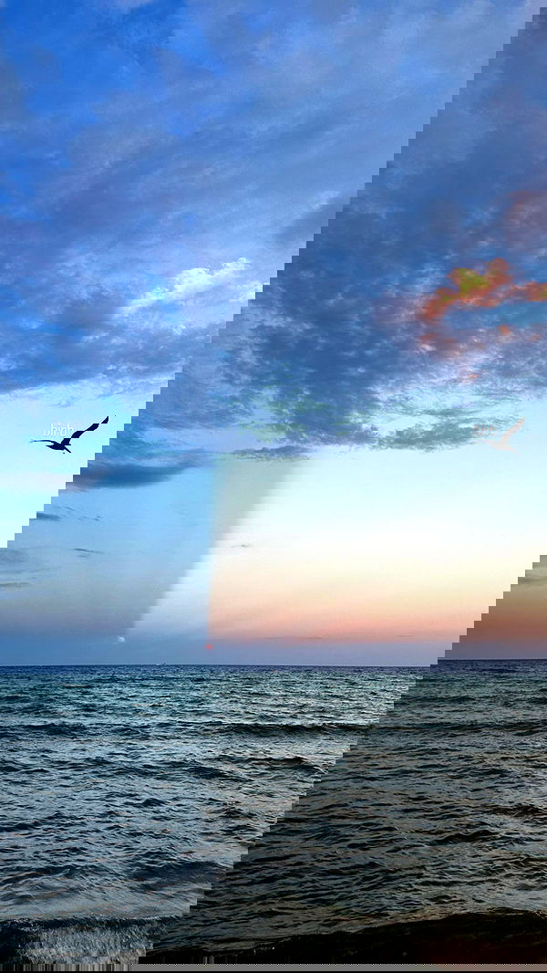 alexandramarianna alexandramarianna archive image