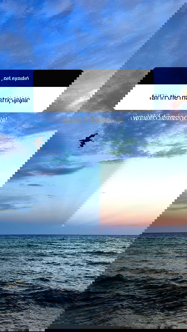 alexandramarianna alexandramarianna archive image