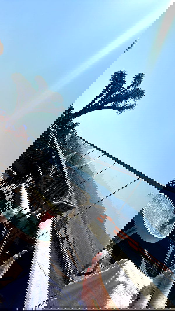 alexandramarianna alexandramarianna archive image