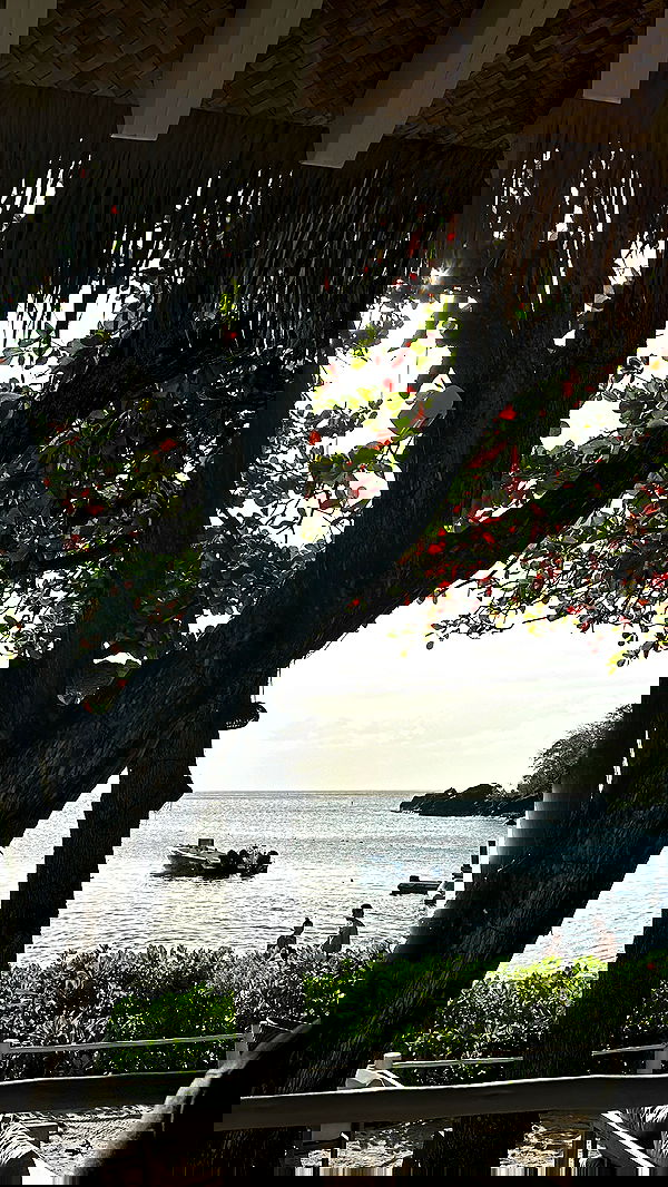 alexandramarianna alexandramarianna archive image