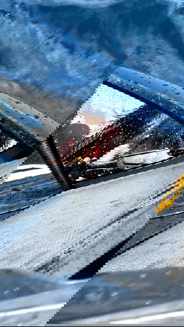 alexandramarianna alexandramarianna archive image