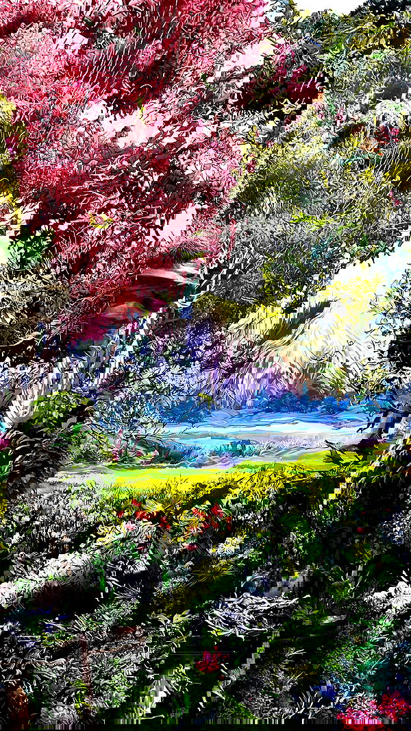 alexandramarianna alexandramarianna archive image