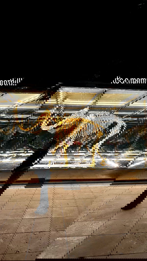 alexandramarianna alexandramarianna archive image