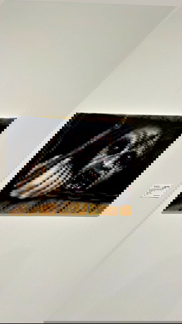 alexandramarianna alexandramarianna archive image