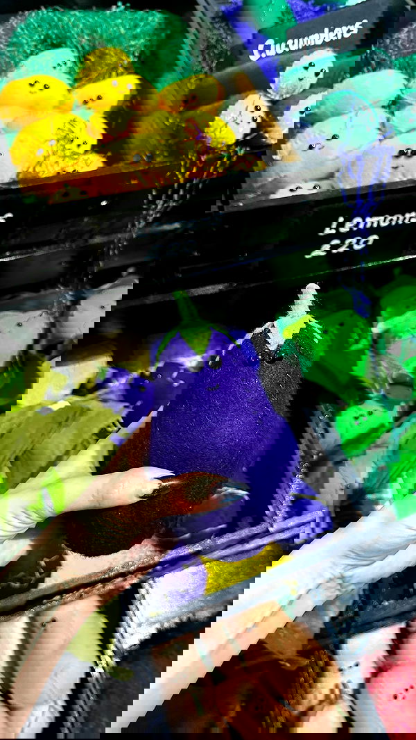 alexandramarianna alexandramarianna archive image