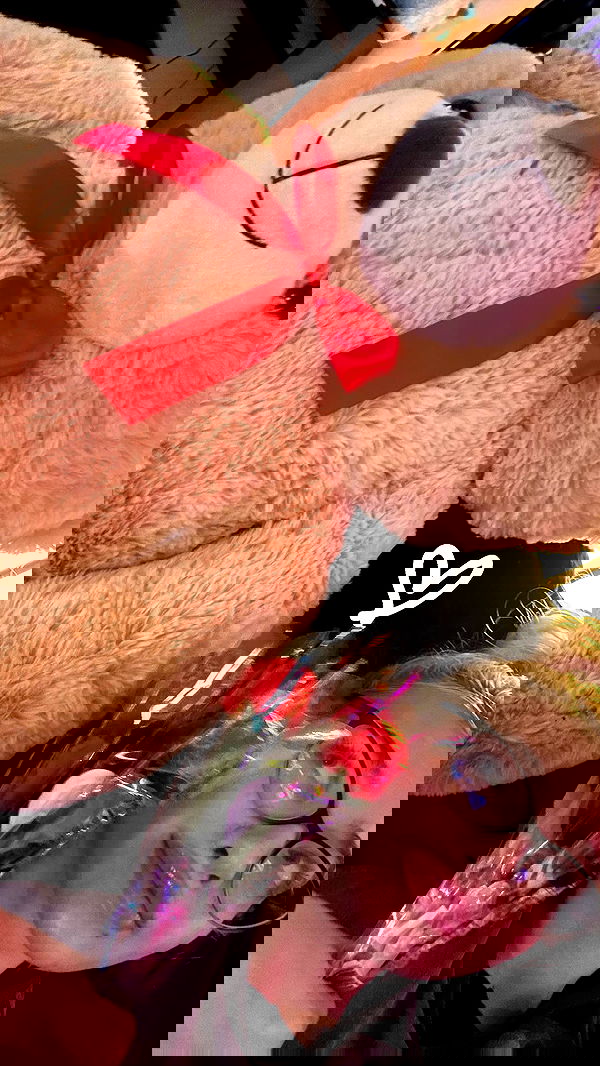 alexandramarianna alexandramarianna archive image