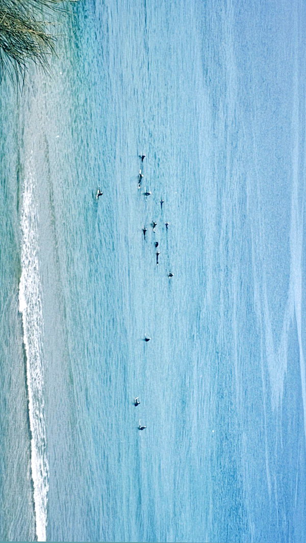 alexis.leth instagram image archive image