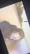 algofobica Altpins Profile Picture