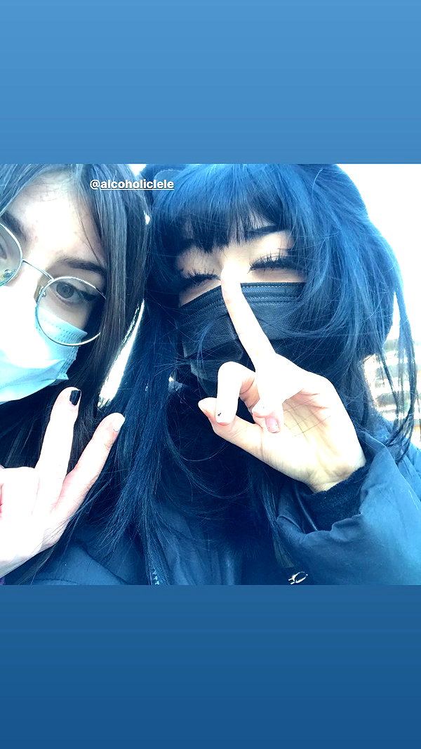 algofobica instagram image archive image