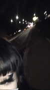algofobica Altpins Profile Picture