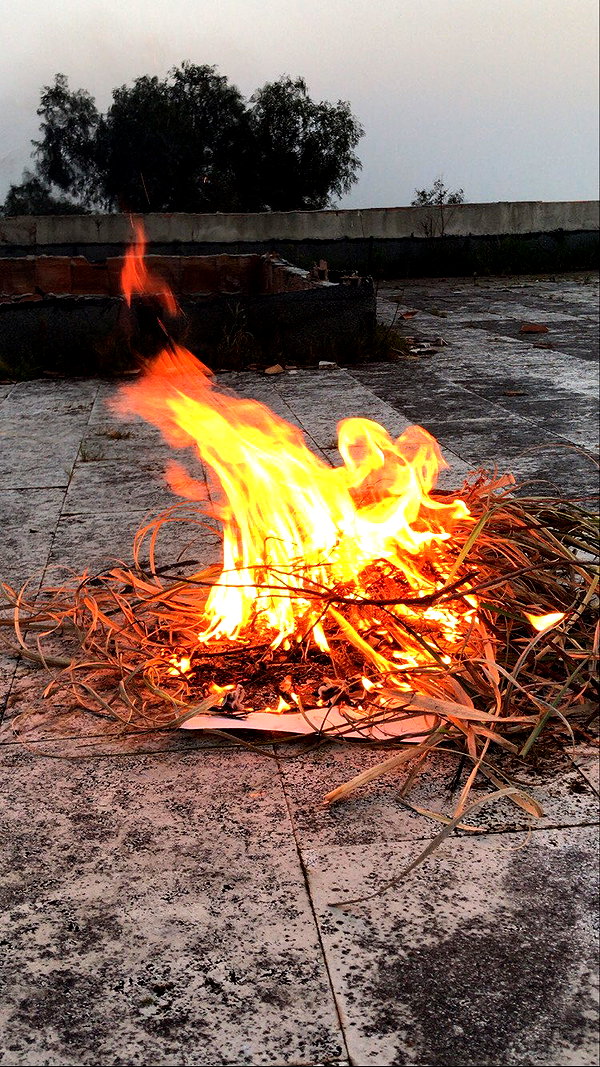 algofobica instagram image archive image