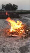 algofobica Altpins Profile Picture