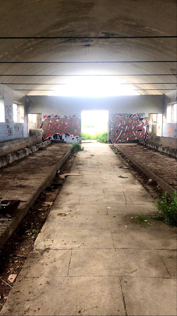 algofobica instagram image archive image