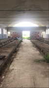 algofobica Altpins Profile Picture