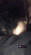 algofobica Altpins Profile Picture