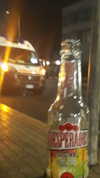 algofobica Altpins Profile Picture