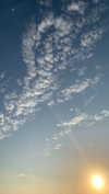 algofobica Altpins Profile Picture