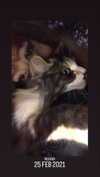 algofobica Altpins Profile Picture