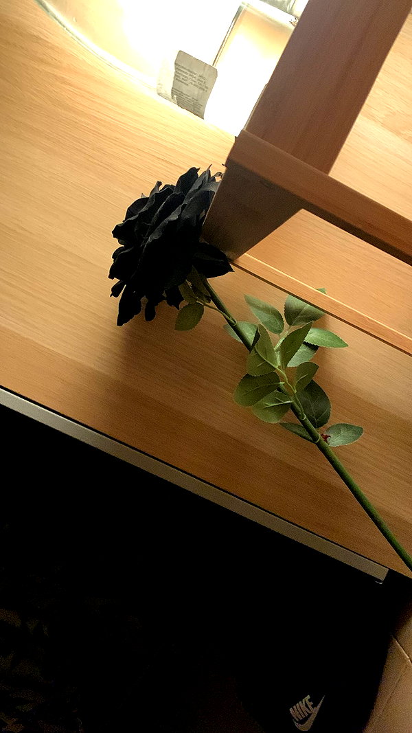 algofobica instagram image archive image