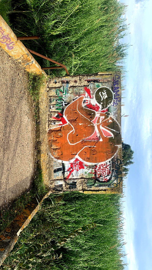 algofobica instagram image archive image