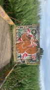 algofobica Altpins Profile Picture