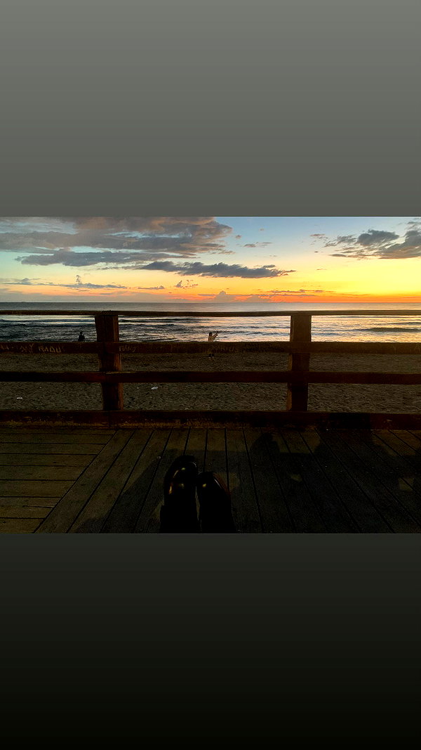 algofobica instagram image archive image