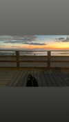 algofobica Altpins Profile Picture