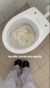 algofobica Altpins Profile Picture