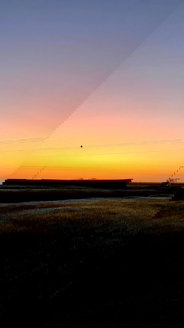 alice.skym alice.skym archive image