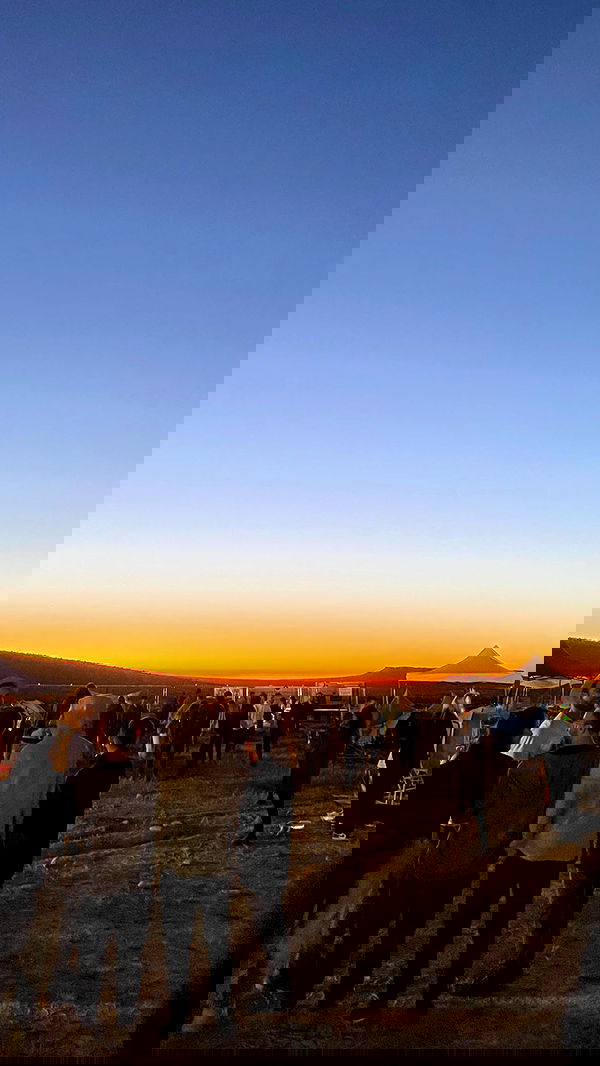 alice.skym alice.skym archive image